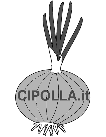 CIPOLLA.it disponibile per la cessione